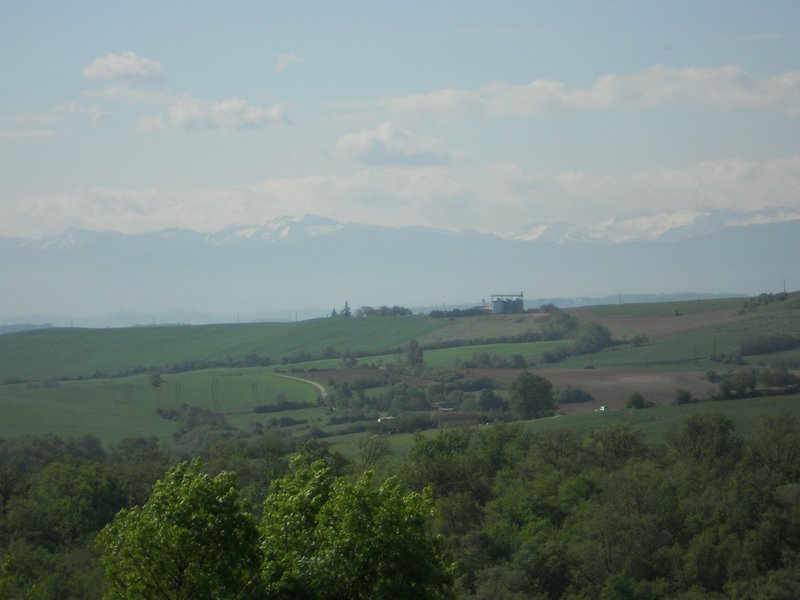View from the farm