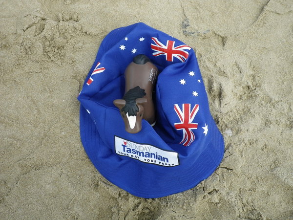 Percy enjoying Australia Day at the beach