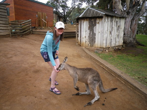 Me feeding a wallaby....