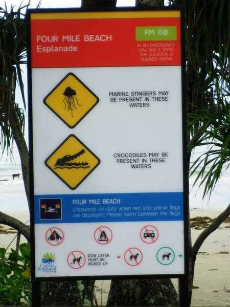 Why would I want to swim at this beach?