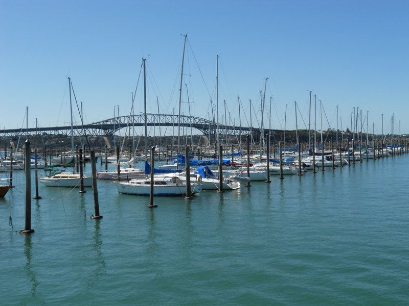 Harbour & Harbour Bridge