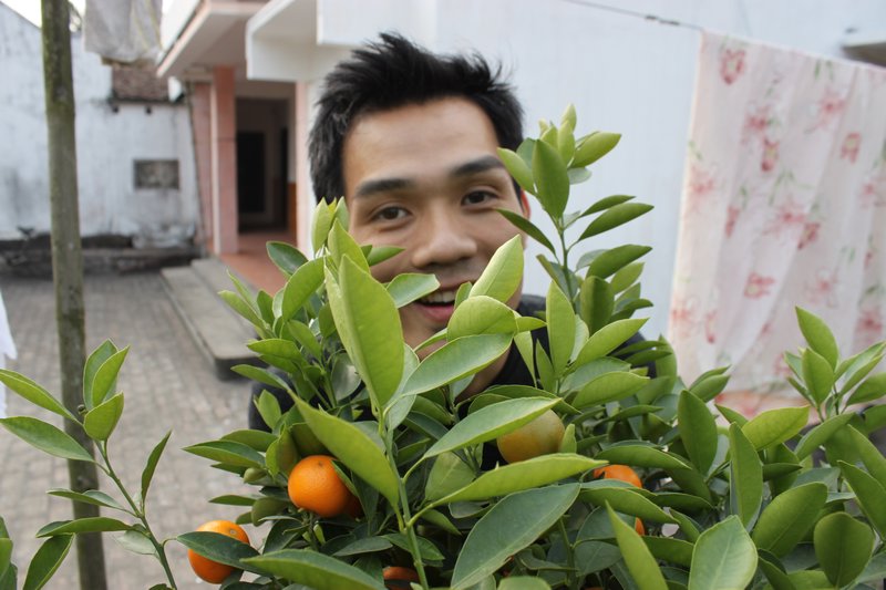 Trung and his new year's Cumquat tree