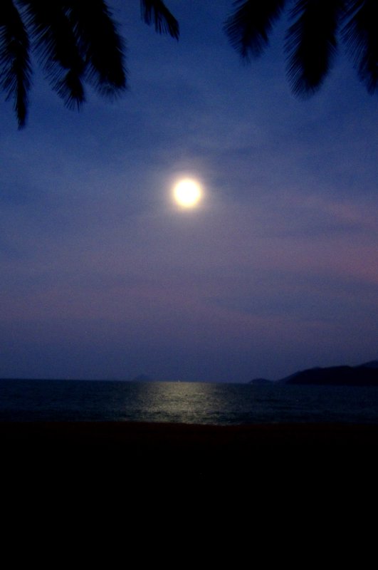 Beach Moon