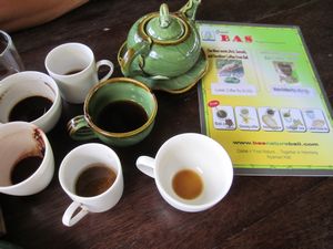Luwak Coffee!