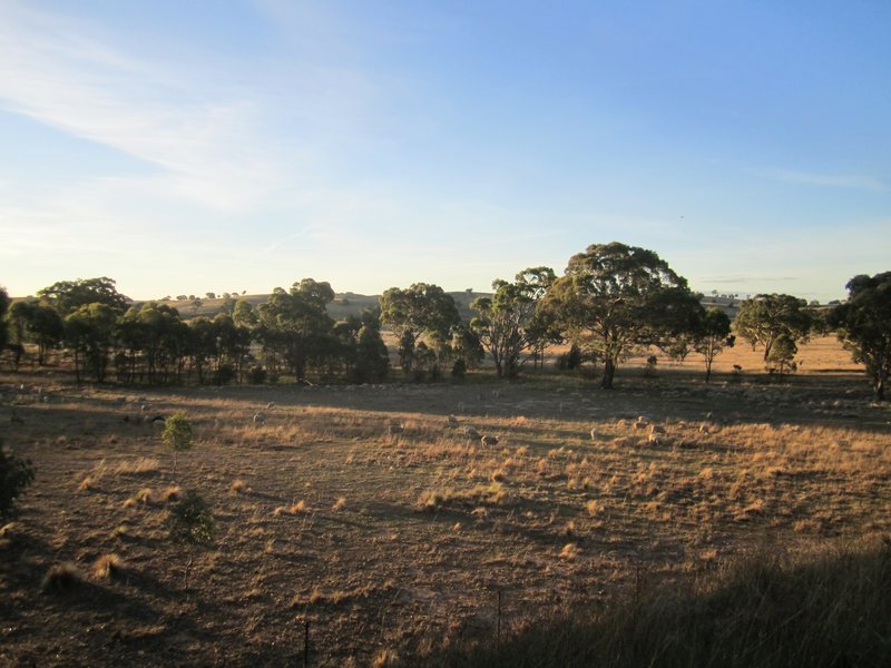 Australian scrublands