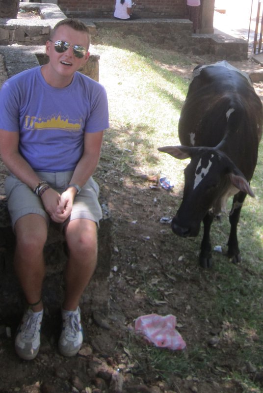 Me and my pet cow at Pollonaruwa