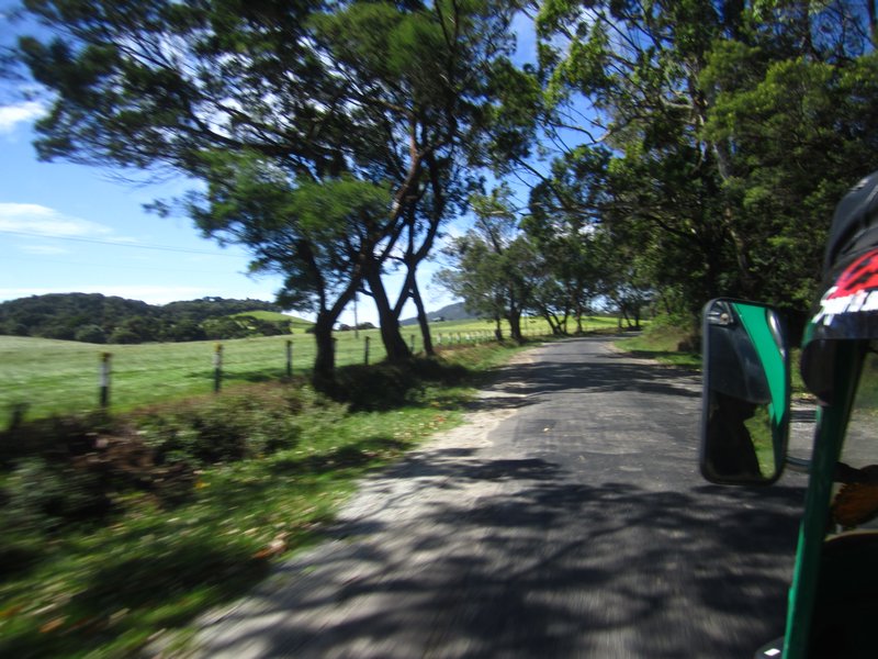 The road to Horton Plain