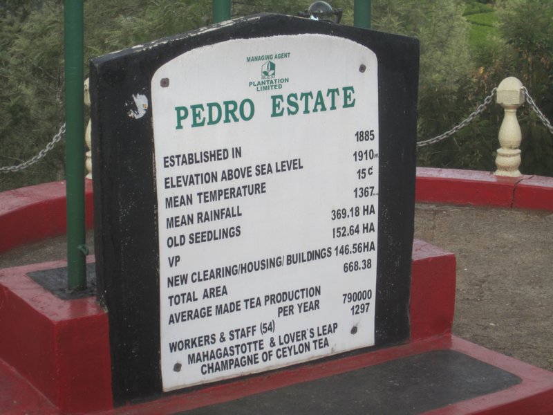 Pedro's info