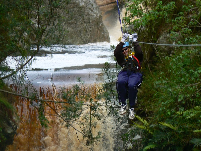 Zipline in Tsitsikamma Forest