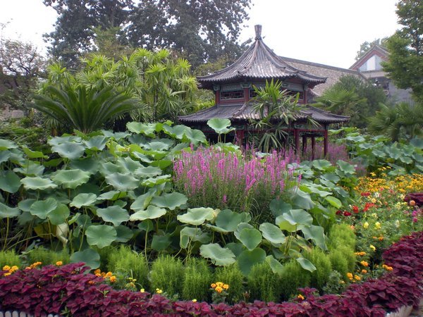 Pagoda and lotus pond