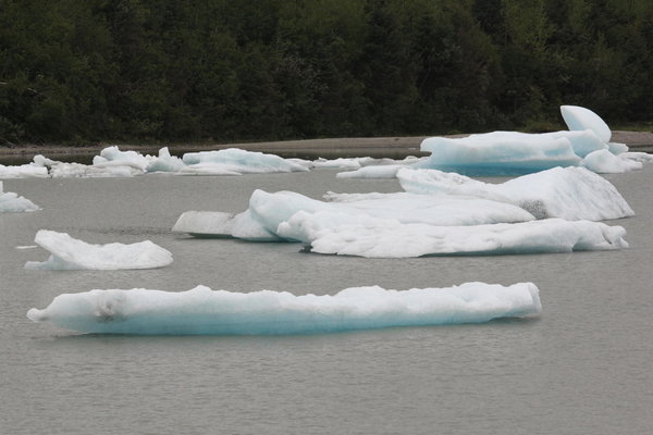 Floating Glacier Chunks