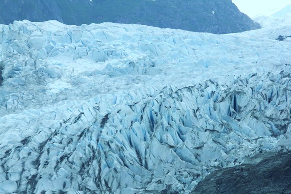 Mendenhal Glacier 1 , Juneau