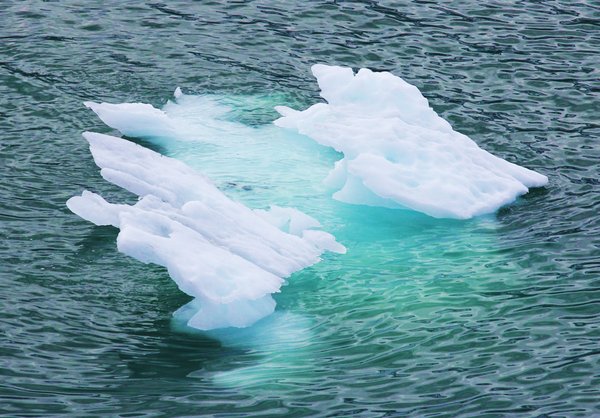 Floating Ice Hunk