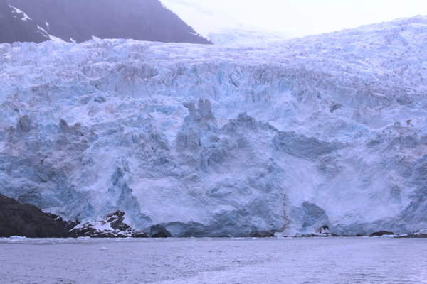 Kenai Glacier 1