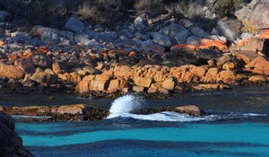 Tasmanian Coast 10