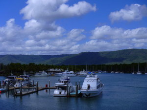 Port Douglas Marina 1