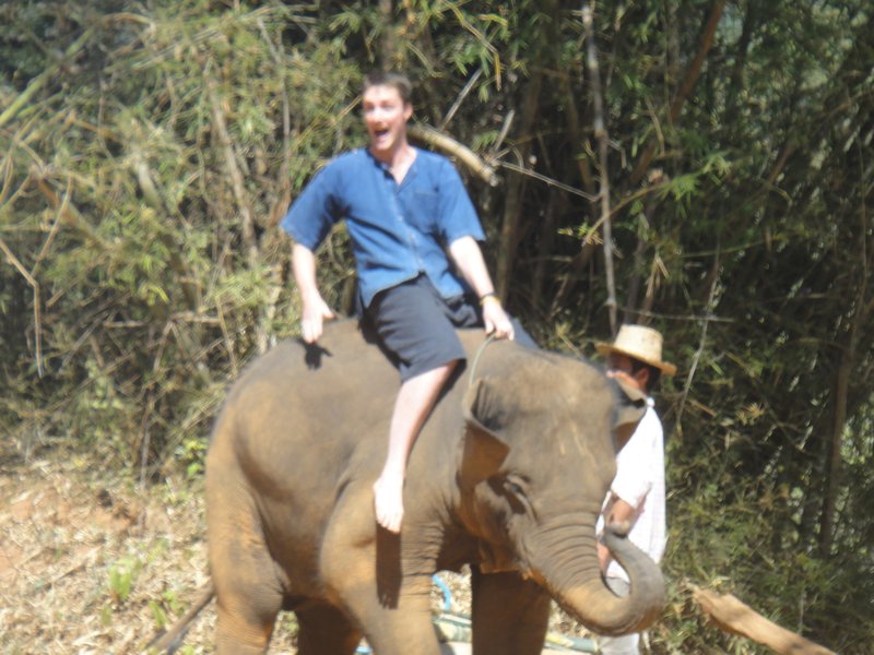 Will taking elephant riding in his stride 