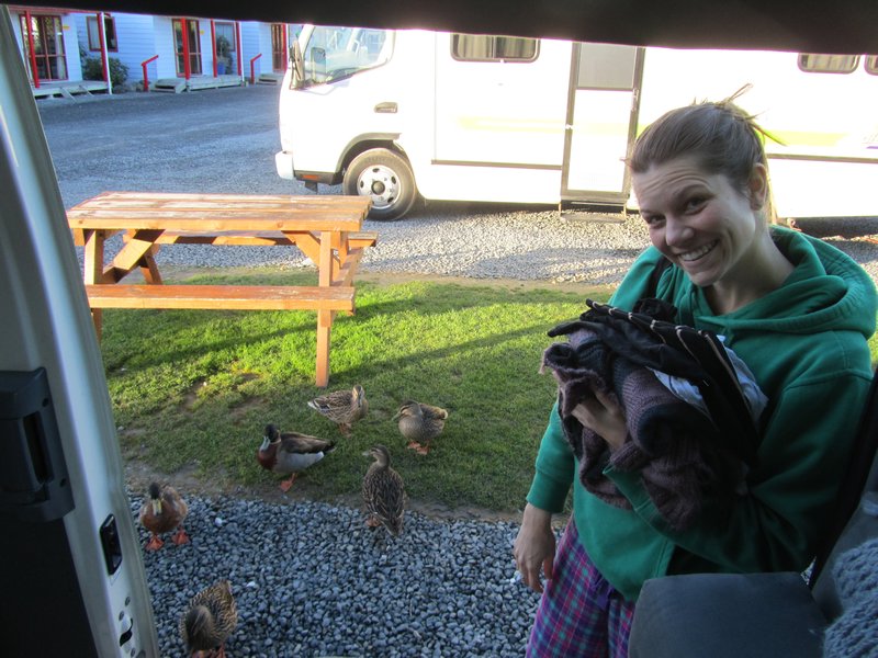 Tory and her feathered friends