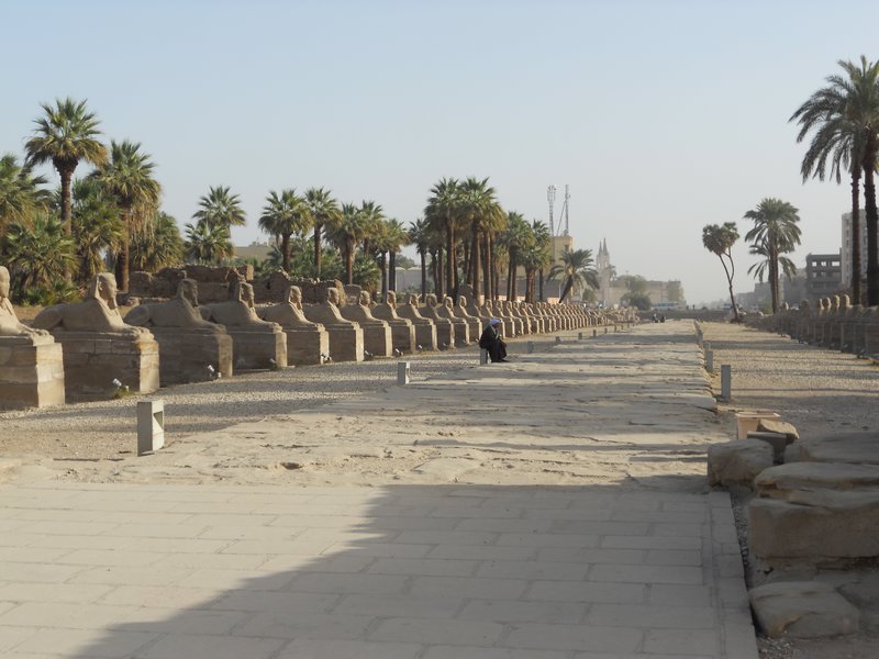 Street of Sphinx