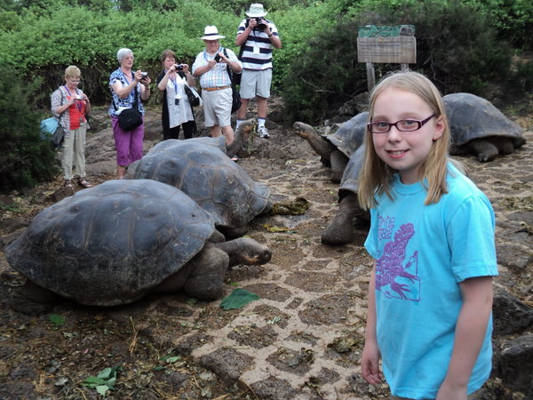 Abbey visiting the tortoises