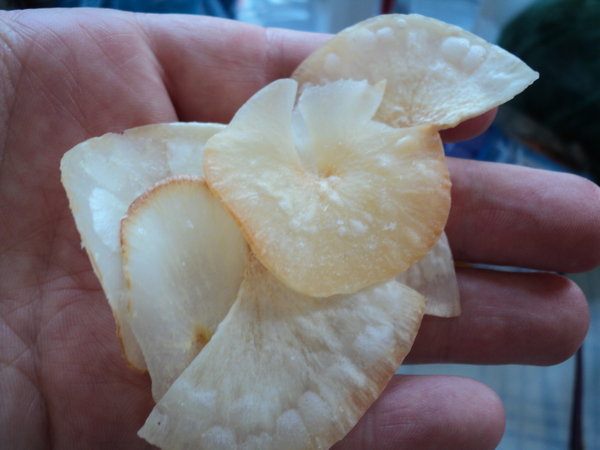 Casave Chips