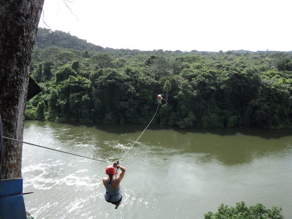 Canopy Zip-Lining across the Suriname River