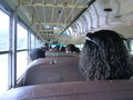 Bus to Placencia