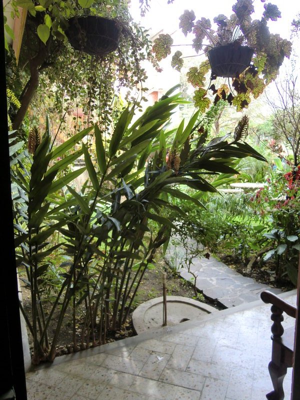 The garden outside our room.