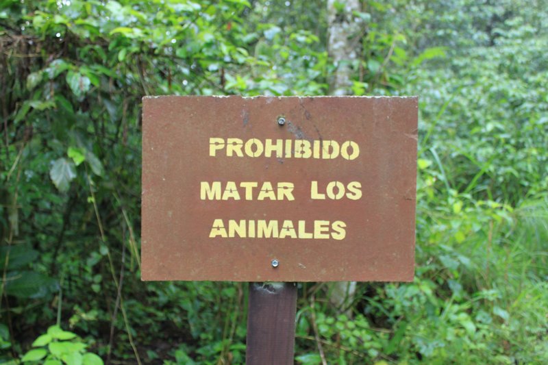 "It's Prohibited To Murder The Animals"