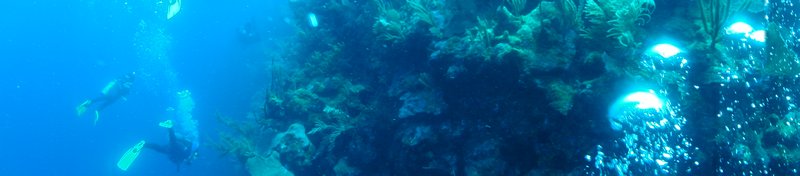 Underwater panorama of us diving.