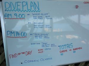 Today's Dive Plan