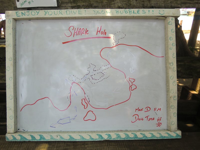 The dive plan for "Shark Hole"