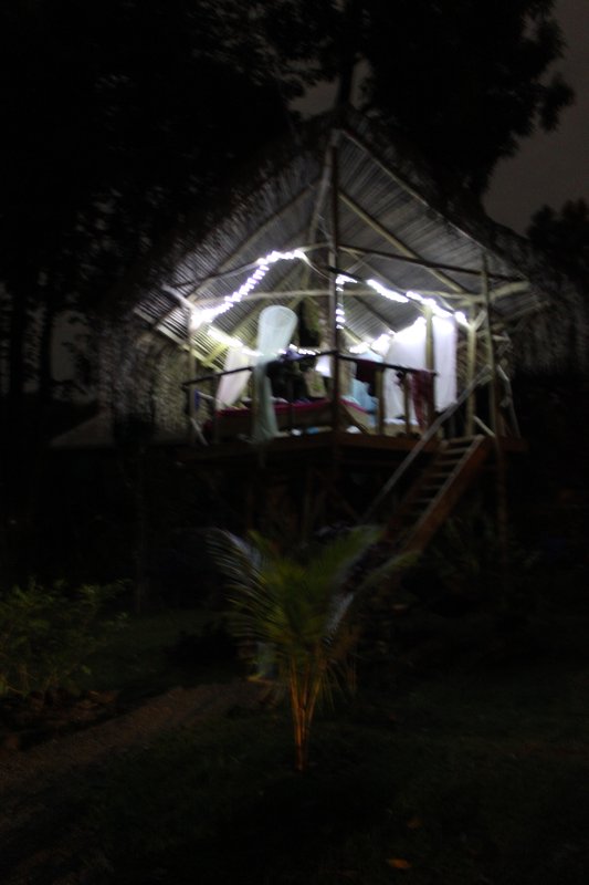 Our treehouse at night.