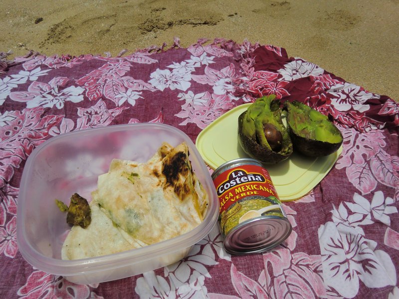 Today's picnic lunch.