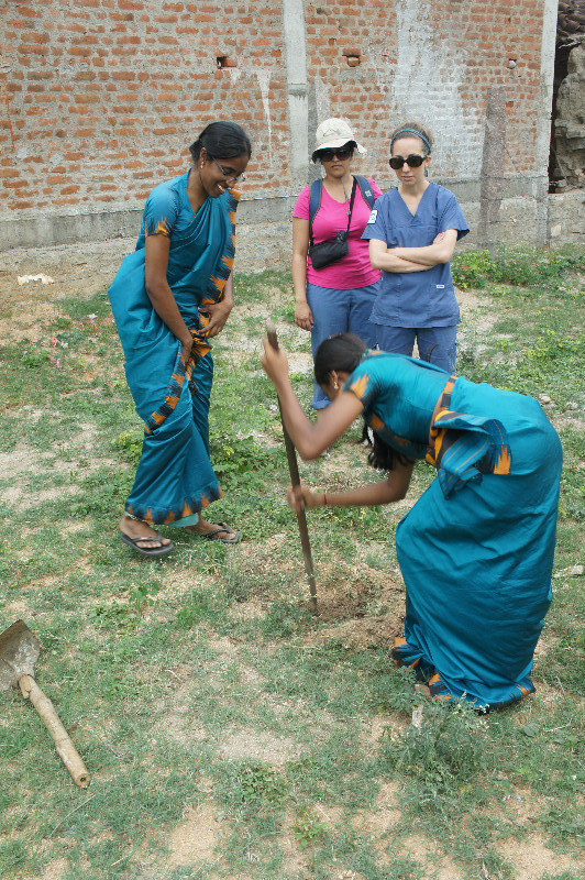 Planting trees for the "clean green" program