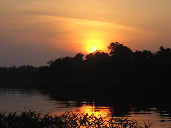 Amazonas - por do sol