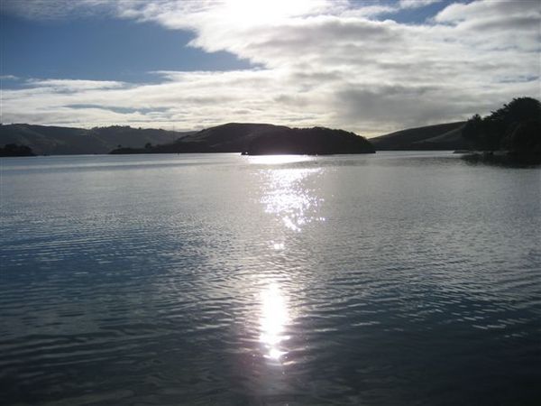 Otago Peninsula (1)