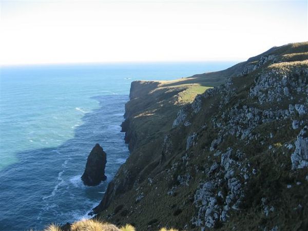Otago Peninsula (4)