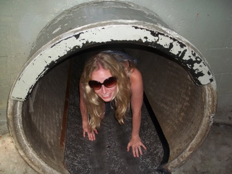 The meercat tunnels