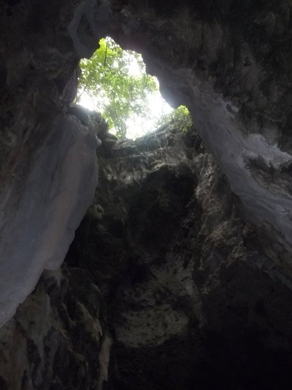 Looking up from the bottom of the killing cave