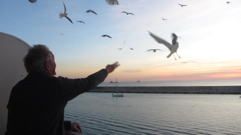 Chris feeding the seagulls