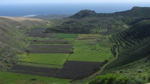 Agriculture in Lanzarote