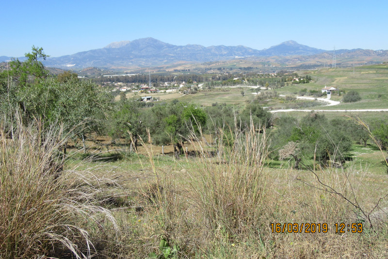 View of Guadalhorce valley