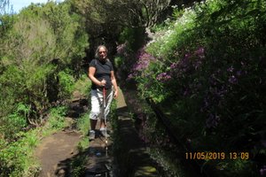 Reflections in  the levada