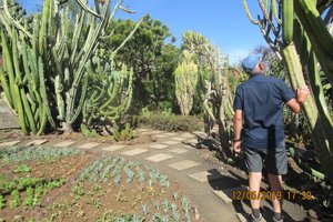 Inspecting a cactus at The Botanical Gardens