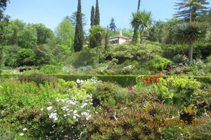 Palheiro Gardens (3)