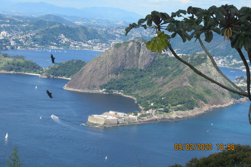 View from Sugarloaf with black vultures