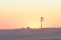 Sunset in the desert (2)