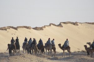Riding Camels in the desert