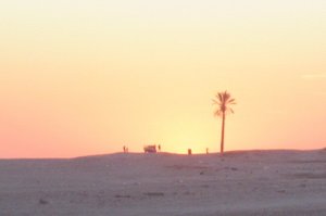 Sunset in the desert (2)